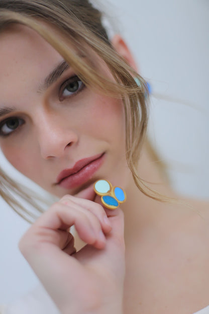 AROS PIGMENTO